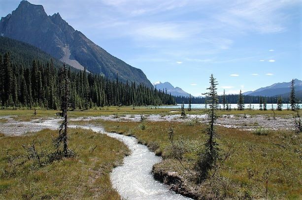 emerald lake, yoho n.p.