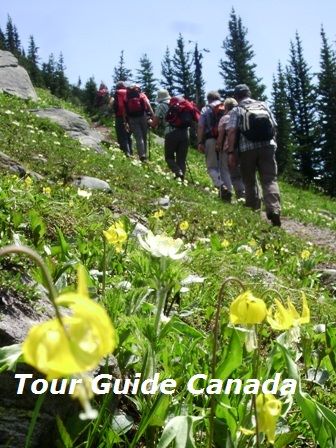 guided hiking trips in Canada