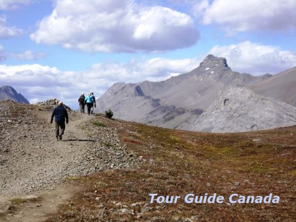 guided hiking in the alpine