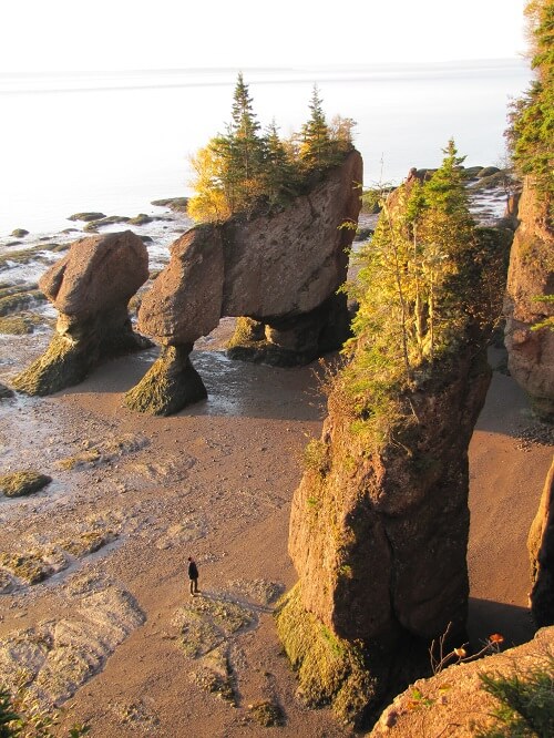low tide at Hopewell Rocks