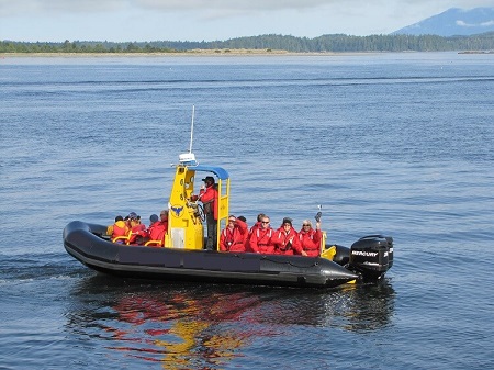 whale watch Zodiac