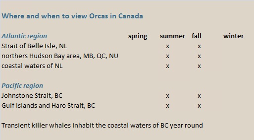 orca canada