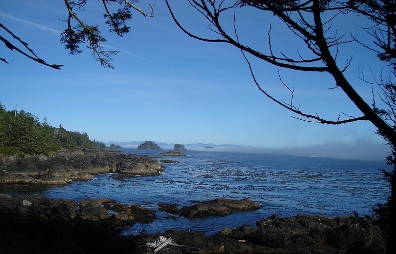 wild pacific trail, ucluelet bc,