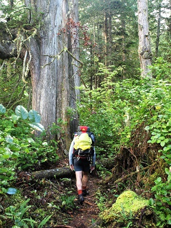 backpacking west coast trail