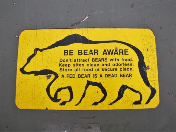 bear etiquette