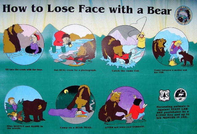 bear etiquette