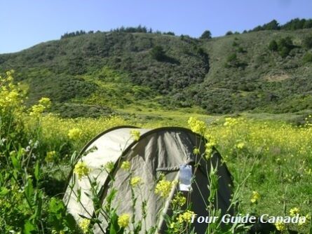 Maps pointing out free campsites at recreation sites. Remote and spectacular destinations for the adventurous traveller to escape from the crowds