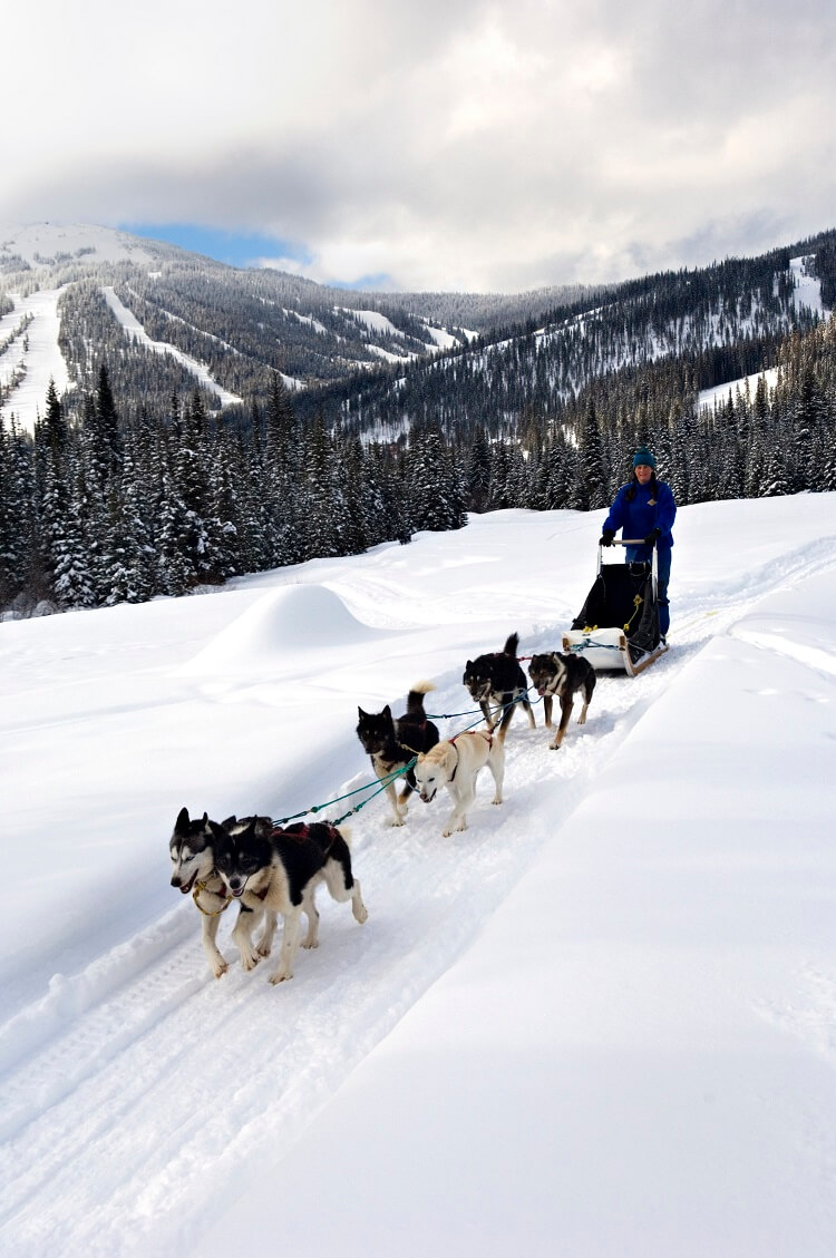 dog sledding Canada