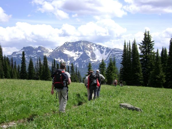 Join guided trips and tours such as guided kayak trips, whale watch tours, dog sled trips, group travel, and guided hiking trips