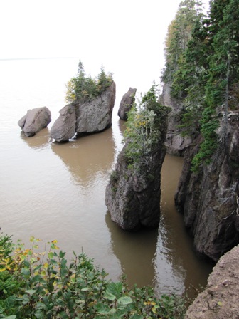 high tide at Hopewell Rocks