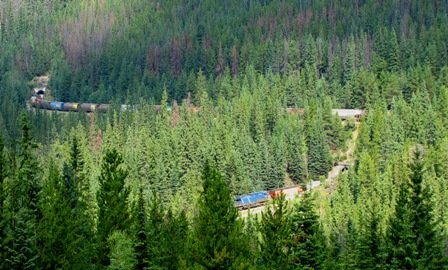 spiral-tunnels-yoho-national-park