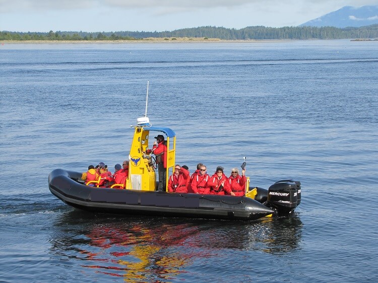 whale watching tours